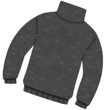 fashion_sweater_turtle