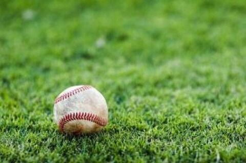 プロ野球選手にしかいない名字