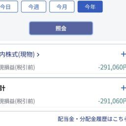 ワイ「NISA？ふーんやるわ(400万ポイ)」←結果ｗｗｗ