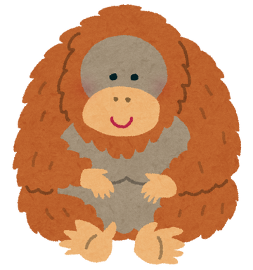 animal_Orangutan