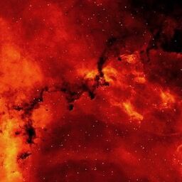 「強気女さん、半グレ相手にビンタ1発かました結果が地獄すぎる」 ほか