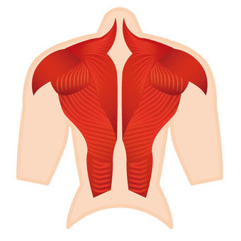 b2dce3a642a5e397de01866a1b866327_t