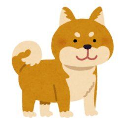 【悲報】柴犬をネモフィラのライトアップに連れて行ったら…闇落ちしたｗｗｗ