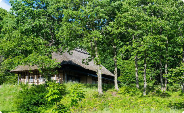 【なんか変なのがいる】 手足が生えた巨大な“アレ”が腕を回しながら横切った