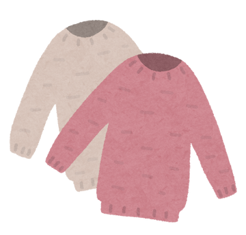fashion_sweater_set