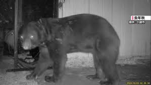 【速報】 橋下徹「なんでも自衛隊はちょっと…秋田県民がなんとかすれば？」