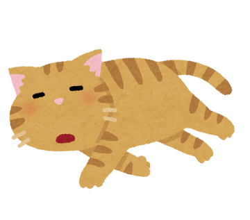 pet_darui_cat