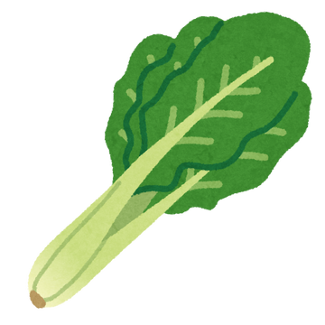 vegetable_komatsuna