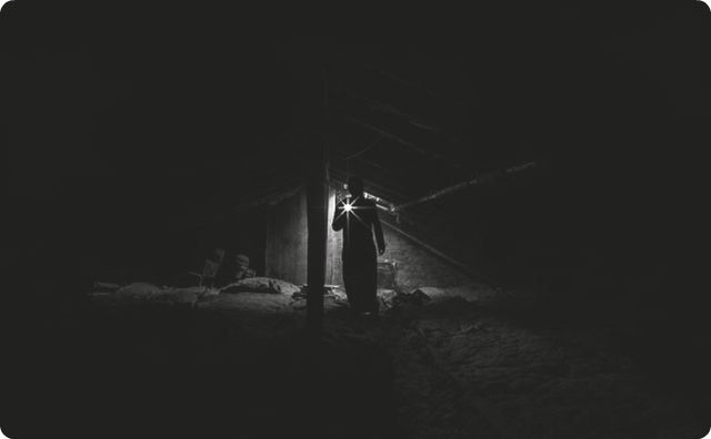 【衝撃】 空き巣が侵入した家に『謎の生物』がいて、逃げ場がなくなった結果…