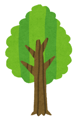 tree_seichou07