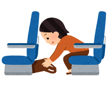 travel_nimotsu_zaseki_down