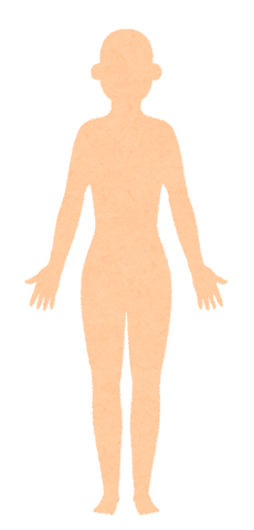 body_blank_woman_front