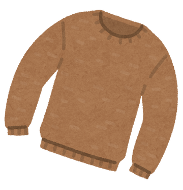 fashion_sweater_u