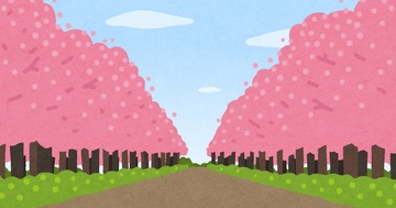 bg_namikimichi1_sakura