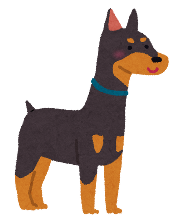 dog_doberman