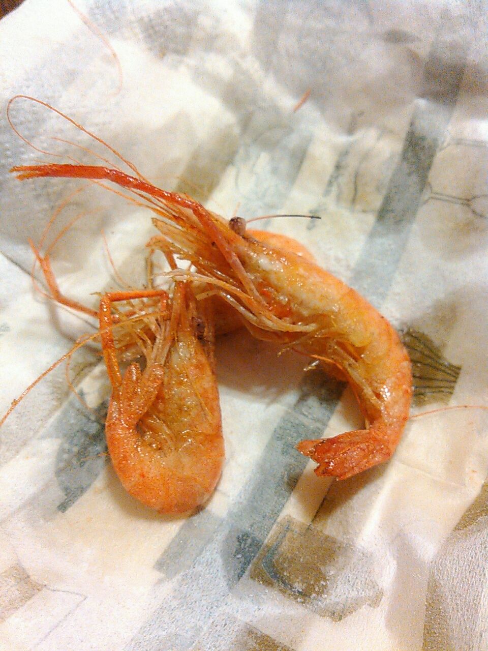 テナガエビ 明日 世界が滅びるとしても 今日 私は庭の木を植える
