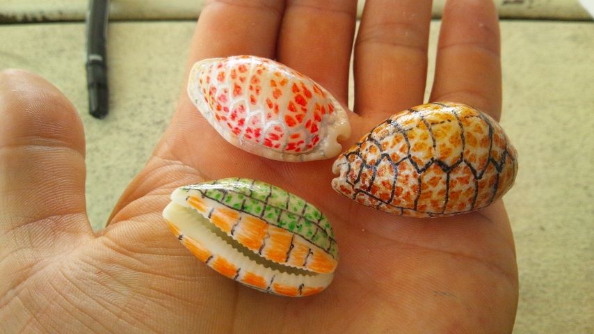 離島編 伊江島その55 これから貝殻絵画をやろうとしてる人への大切なアドバイス 気付いたら 歩いて日本一周してました