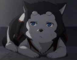 アニメ 黒子のバスケ q 徒然 アニメ 黒子のバスケ q 徒然