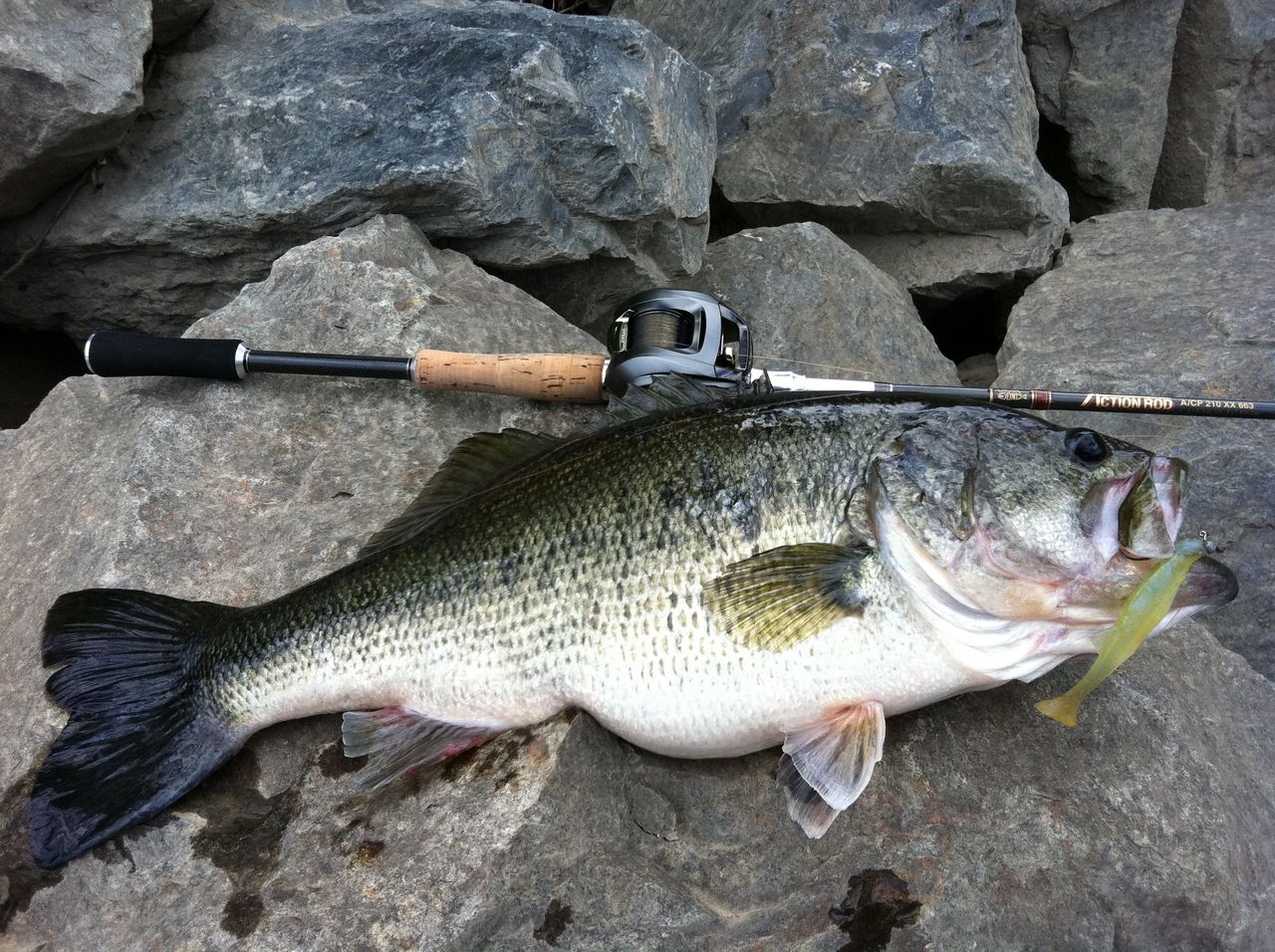 宇治川テスト釣行 後編 Vagabond ヴァガボンド開発日誌