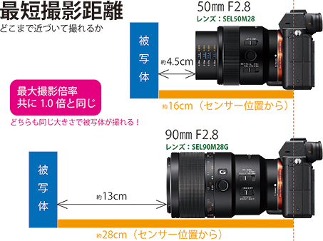 Eマウント フルサイズ対応 50mmマクロレンズ「SEL50M28」が国内 Eマウント フルサイズ対応 50mmマクロレンズ「SEL50M28」が国内