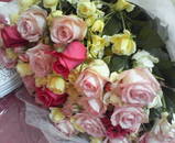 58d980fe.jpg