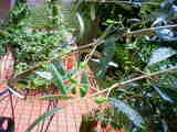 80ec9726.jpg