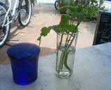 200907041235000