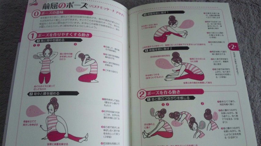 体が硬い人のためのヨガ バーリトゥード日記