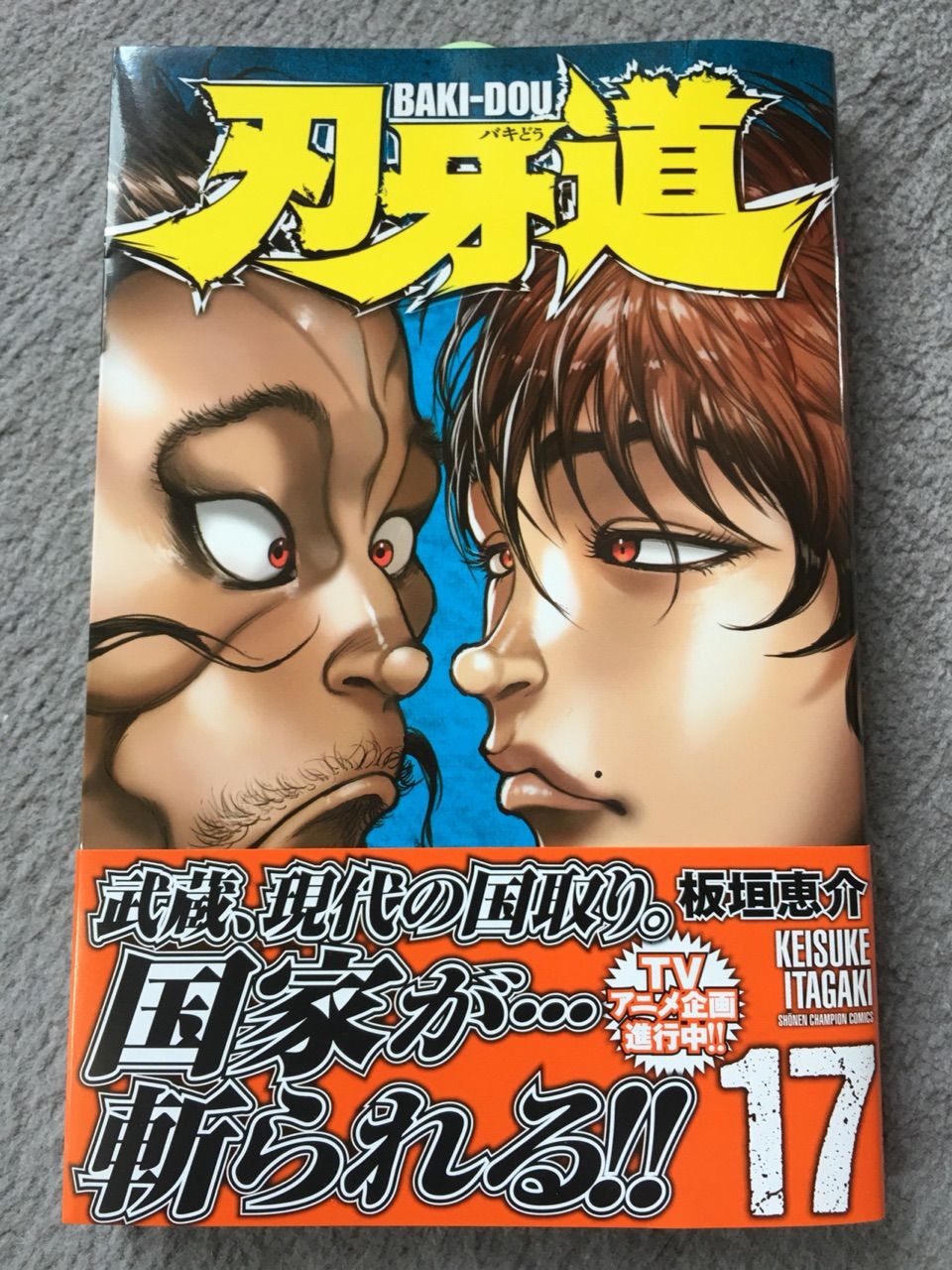 刃牙道 17 バーリトゥード日記 刃牙道 17 バーリトゥード日記