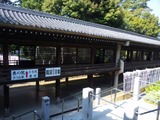 73b3810f.jpg