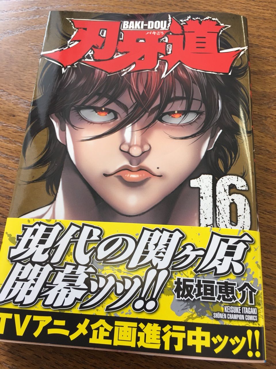 刃牙道 16 バーリトゥード日記