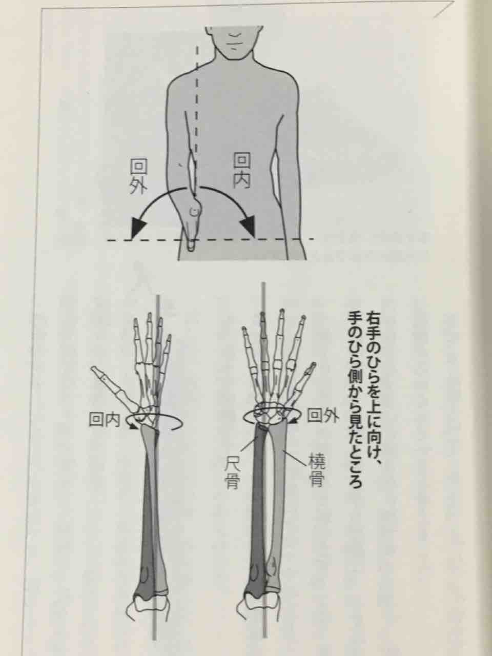 薬指第一関節だけで変わる 全身運動メソッド : バーリトゥード日記