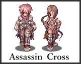 Assassin Cross