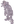 グレイヴクラウンマミー