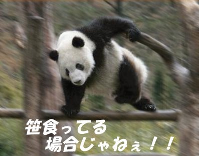 DdIvn_pWAAAvegM