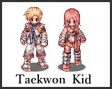 Taekwon Kid