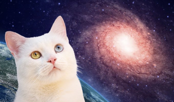 ドラム講座 初心者向け支援イヌハッカドラム講座 22年版 ラグナロクオンライン あたいンち