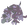 グレイヴベリット