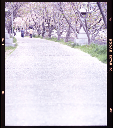 Mamiya RB67 + Sekor 180mm F4.5 , Ektar100