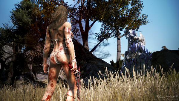 黒い砂漠 デッドアイ [DE]バカンス：ビキニ衣装