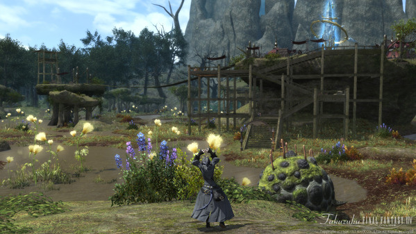 FF14 黒衣森：南部森林 ロウアーパス