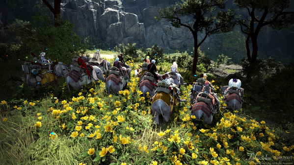 黒い砂漠 荷車象ツアー19