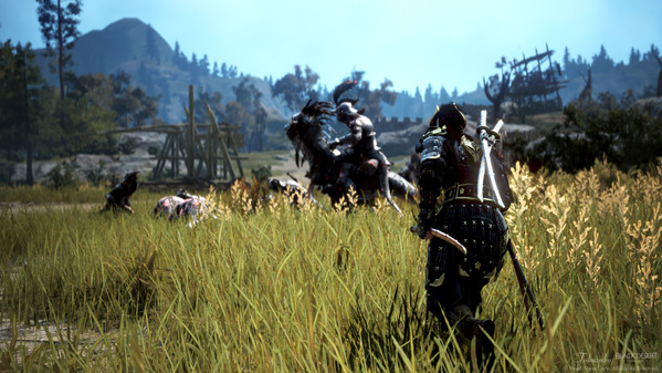 黒い砂漠 サウニールキャンプ エルビアの領域 忍者