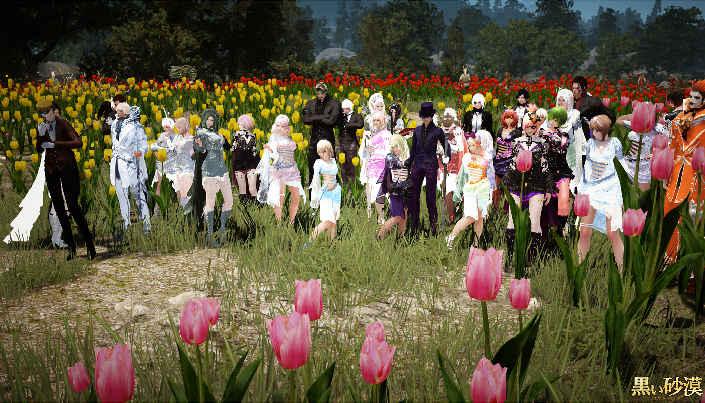 春のドレスアバ撮影会 2 2 Valkyrie 春のドレスアバ撮影会 2 2 Valkyrie