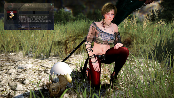 Black Desert Online ペット クークー