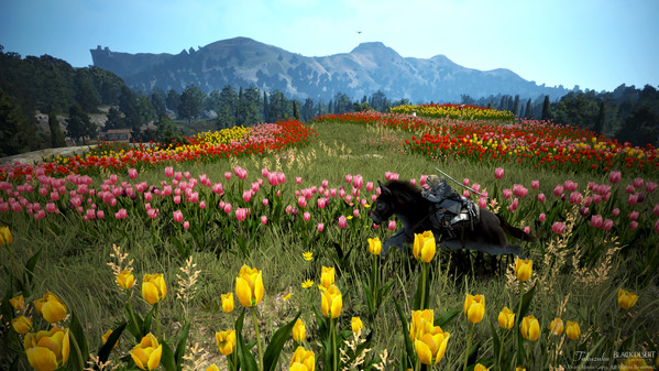 黒い砂漠 シャイ チューリップ畑 フレーメの丘