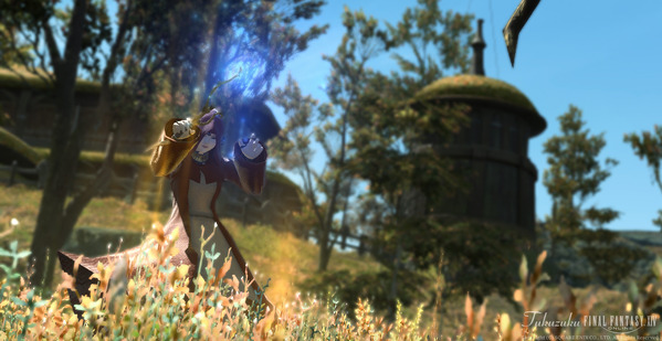 FF14