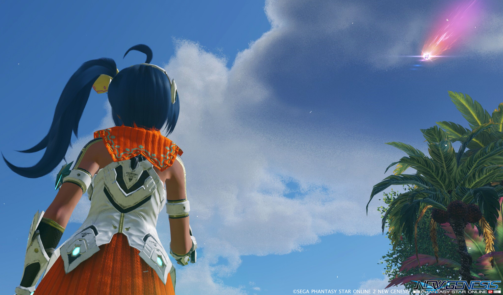 Pso2ngs 初ログインと Npcのキャラメイク Valkyrie