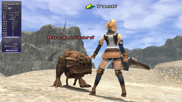 FF11_030b