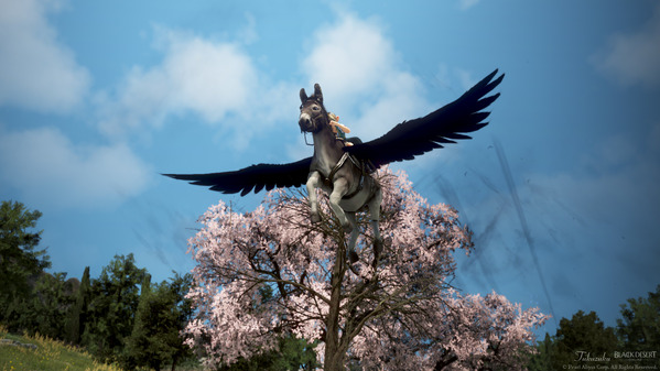 黒い砂漠 空を飛ぶロバ ロドゥアナート
